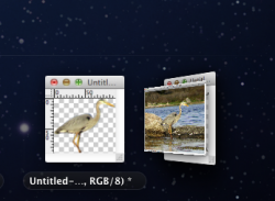Screen Shot 2011-07-31 at 4.14.34 PM.png