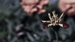 The Beginning to an End (2560x1440).jpg