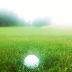 photo (2).JPG