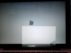 Photo on 2011-08-05 at 15.39.jpg