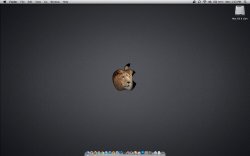 Screen Shot 2011-08-08 at 1.03.56 PM.jpg