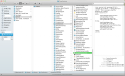 Path to SystemVersion.plist.png