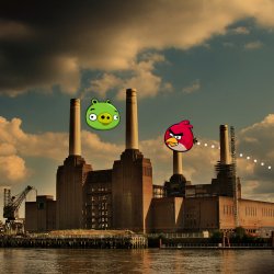 Animals5.jpg