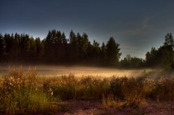 Fairyland at night.jpg