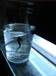 Photo1.jpg