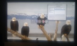 IMAG0003.jpg