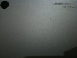 photo1.JPG