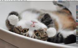 Screen Shot 2011-08-27 at 2.09.43 AM.jpg