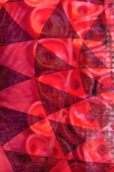 2031 iPhone.png
