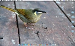 Screen Shot 2011-09-06 at 10.06.08 PM.jpg