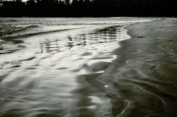 Tofino2011.JPG