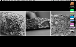 Screen shot 2011-09-09 at 12.48.08 PM.png