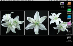 Screen shot 2011-09-09 at 12.48.45 PM.png