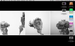 Screen shot 2011-09-09 at 12.48.50 PM.png