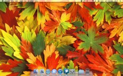 Screen Shot 2011-09-11 at 12.19.19.jpg