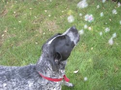 IMG_7465.jpg