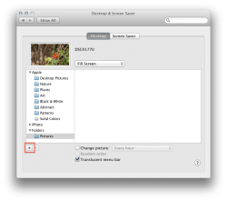 Screen Shot 2011-09-14 at 11.17.57 PM.png