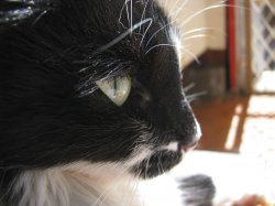 IMG_7305.jpg