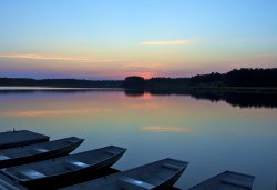 DSC_0372.jpg
