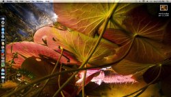 Screen Shot 2011-09-25 at 5.39.10 PM.jpg