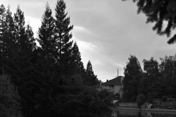 219 b&W.jpg