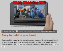 Kindle Fire browse on-the-go.jpg