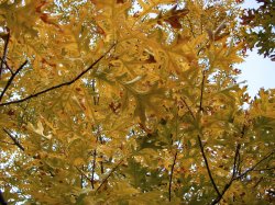 IMG_7836.jpg