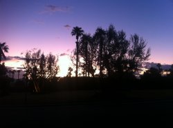 IMG_3032.jpg