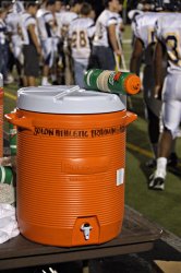 Fading Summer 2 - resize.jpg