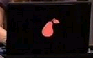 pearbook.PNG