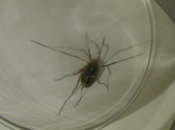 IMG-20111011-00006.jpg