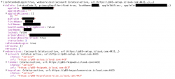 icloud_verify_json.png