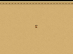 brown leather3.png