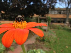 IMG_0066.jpg