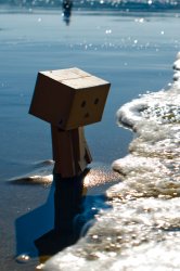 danbo01.jpg