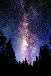 tree and stars 2.jpg
