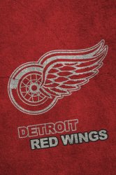 detroitredwings1.jpeg