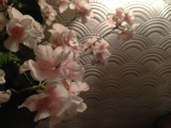 IMG_0141.jpg