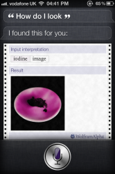 IMG_1144.PNG