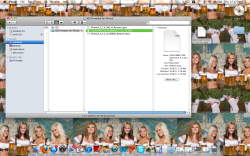 Screen shot 2011-10-27 at 12.42.40 PM.png