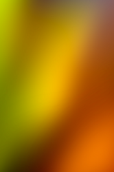 Autumn Rainbow.png