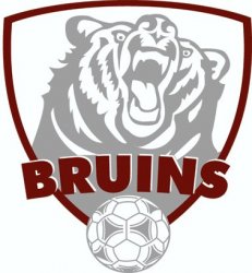 broadneck_bruins_ball.jpg