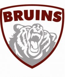 bruins_shield.jpg
