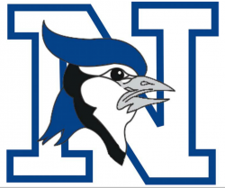 Big Bluejay N.PNG