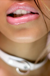 LipsNCollar.png LipsNCollar.png