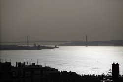 _MG_6805s.jpg
