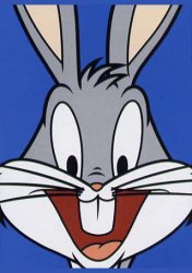 bugs-1030.jpg