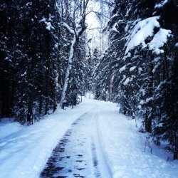 IMG_0958.JPG