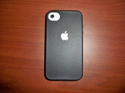100_3732.JPG