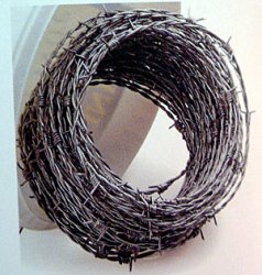 Barbed_Wire.jpg